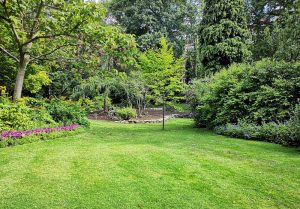 Optimiser l'expérience du jardin à Puiseux-le-Hauberger